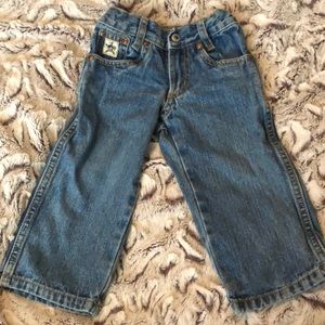 Baby Cinch jeans